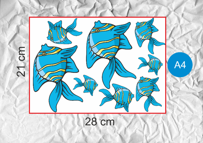 Planche A4 - 21 x 28 cm