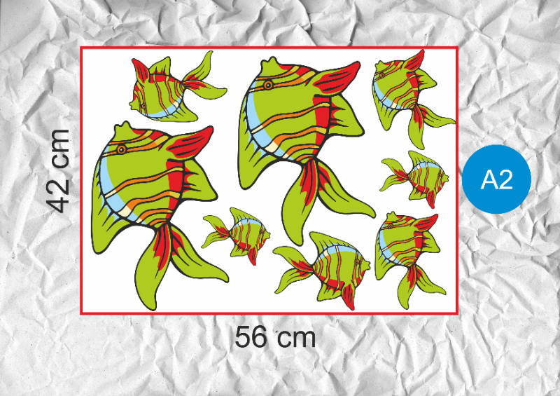 Planche A2 - 42 x 56 cm